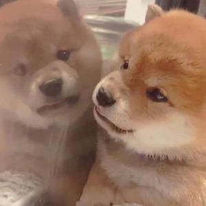 打美女白嫩㊙️光屁屁视频
